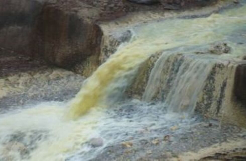 Un frigorífico enfrentará un juicio acusado de contaminar un río