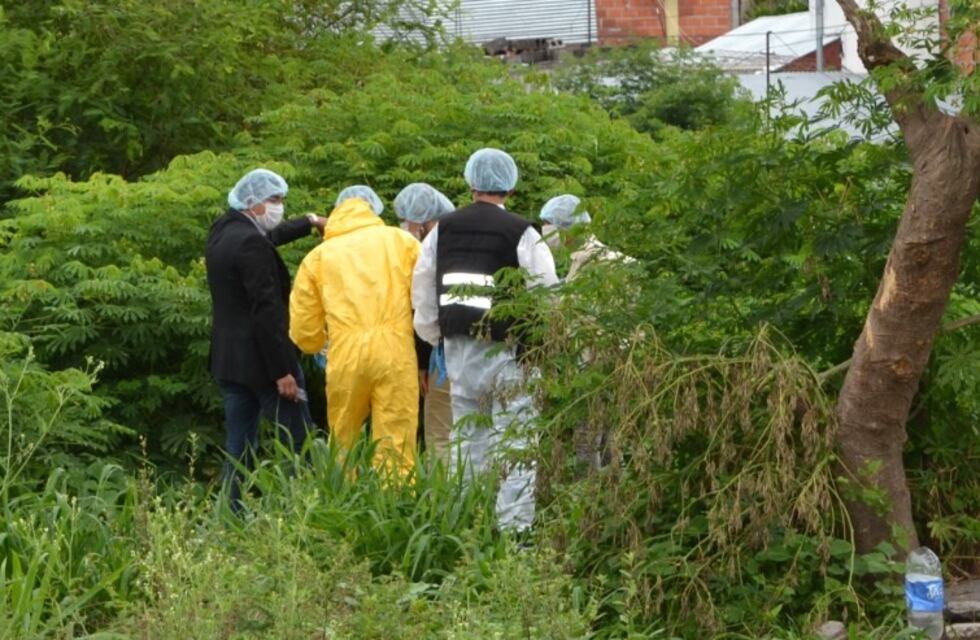 Detuvieron a un hombre por el asesinato de Paola Ávila