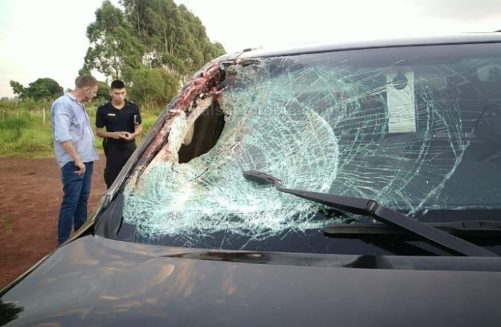 Un vecino de Posadas falleció al chocar contra el cadáver de un caballo