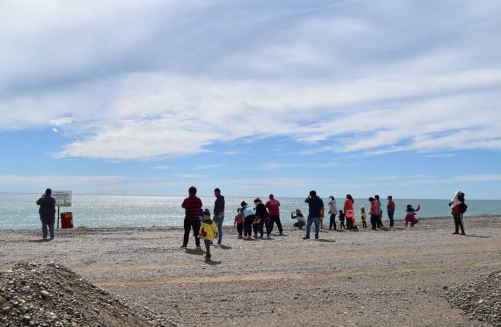 Dia Sin Descartables