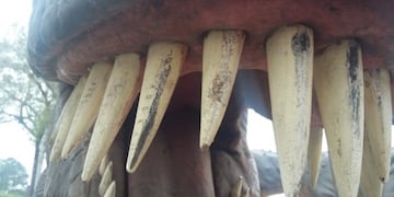 Los dinosaurios es la actividad que más atrae a los niños\u002E (Prensa Gobierno)