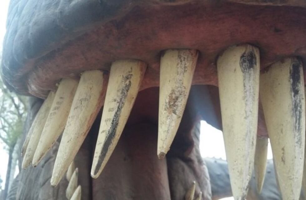 Descubren restos de un dinosaurio en Chubut