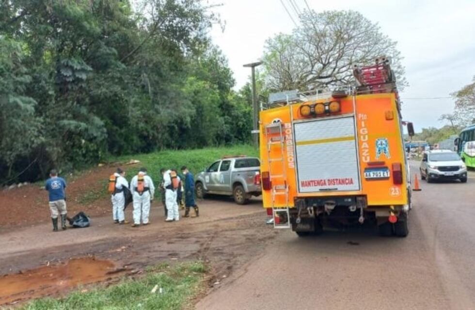 Encuentran un cadáver en Puerto Iguazú en avanzado estado de descomposición