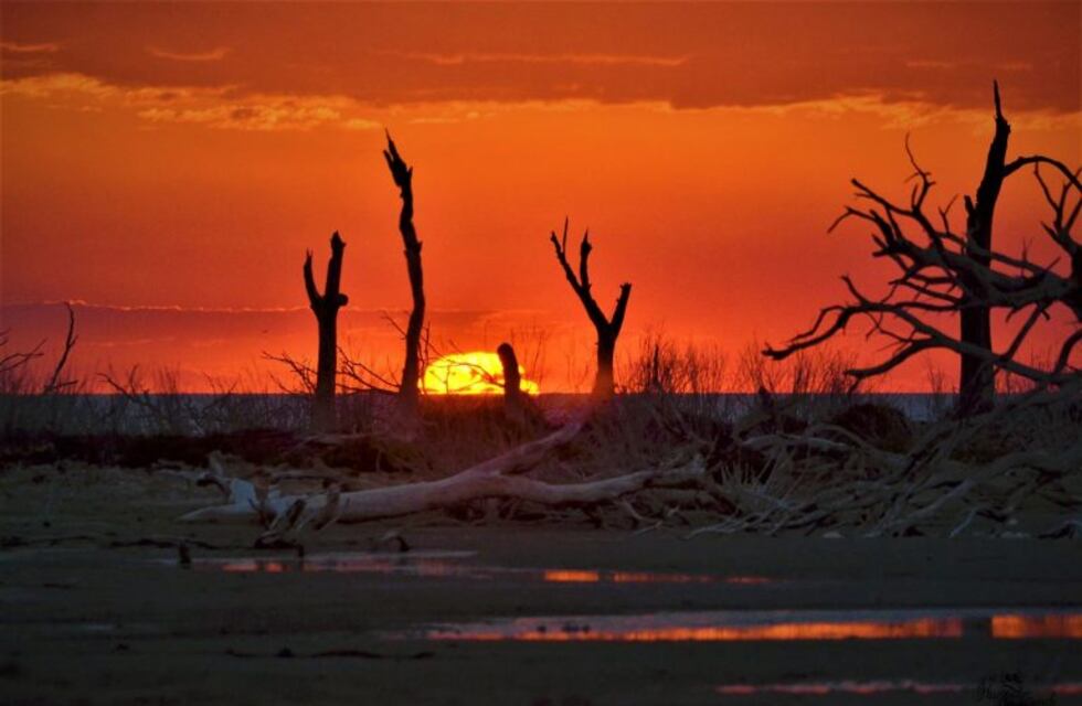 Martes soleado en Ansenuza