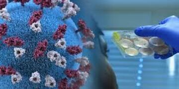 COVID-19 Gualeguaychú\nCrédito: Web