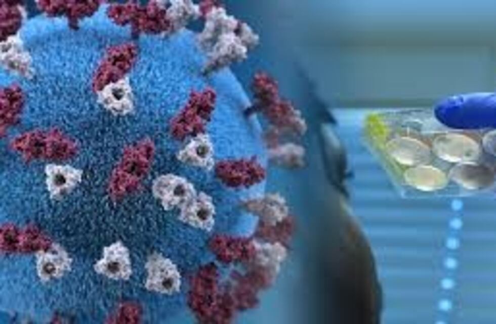 Gualeguaychú superó los 1000 casos de coronavirus