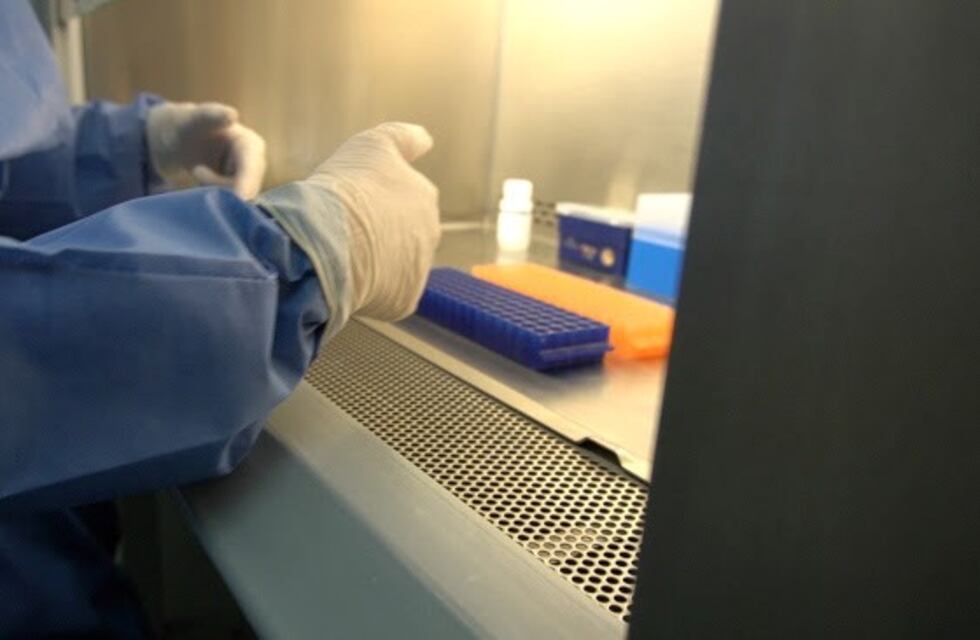 Covid-19: Actualización diaria en el día 44 de pandemia en La Rioja