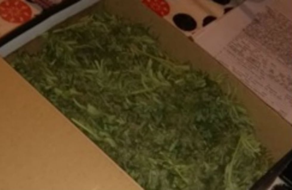 Lo buscaban por homicidio y terminaron secuestrándole 7 kilos de marihuana
