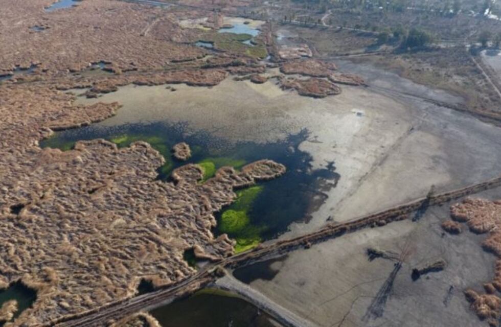 Por la demanda de agua del Gran San Juan, el humedal de un área protegida está cerca de secarse