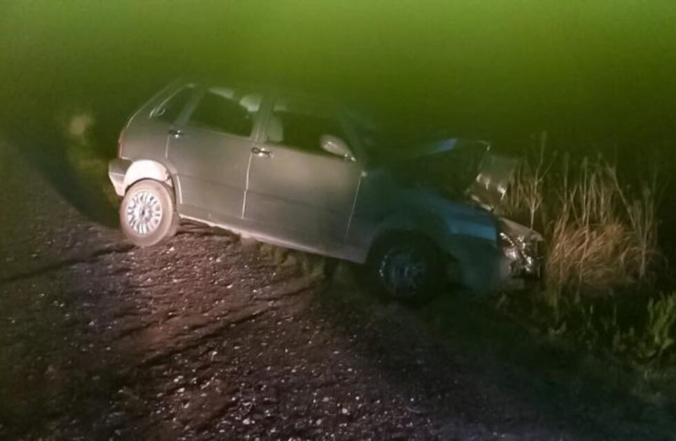 Ruta 51: un auto chocó contra un animal y despistó