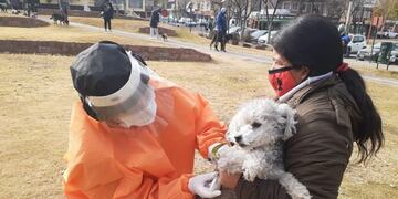 Comenzó la Vacunación Antirrábica en Carlos Paz