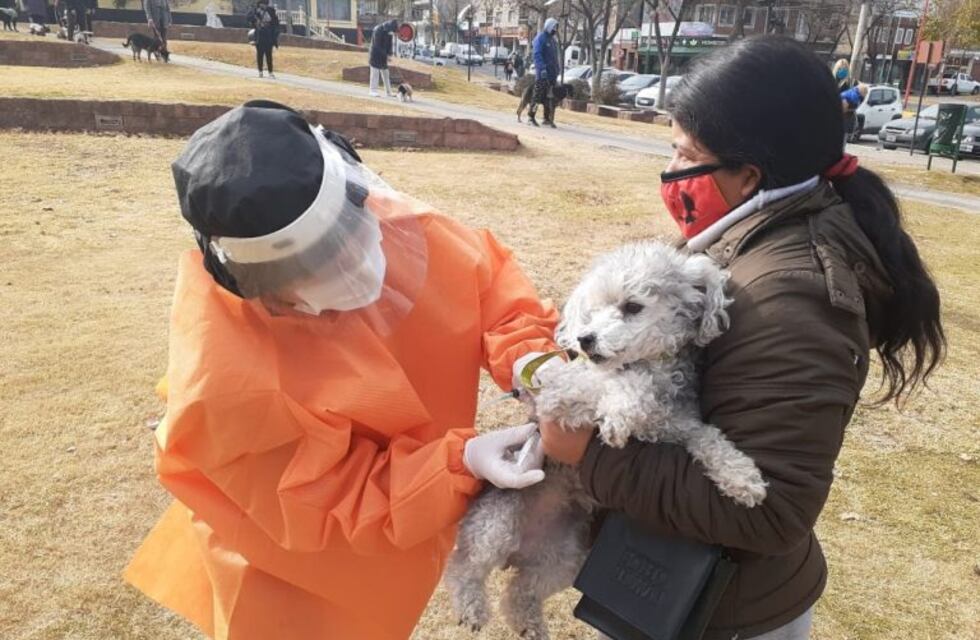 Comenzó la Vacunación Antirrábica en Carlos Paz