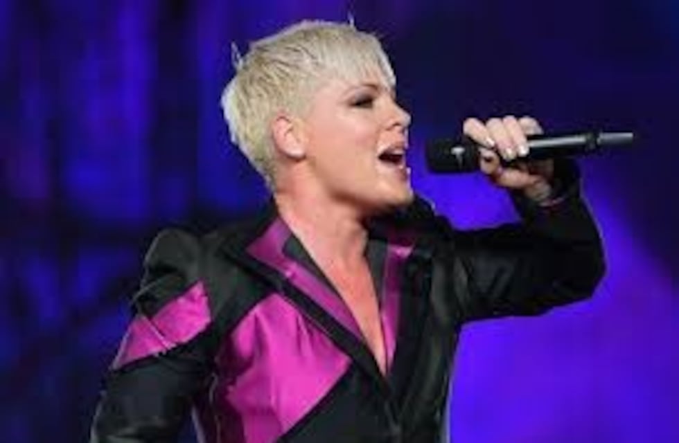 Una fanática dio a luz en pleno recital de Pink