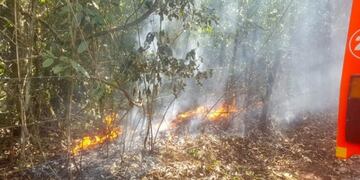 Incendio en Puerto Iguazú junto a la reserva Marangatú\u002E (Misiones Online=