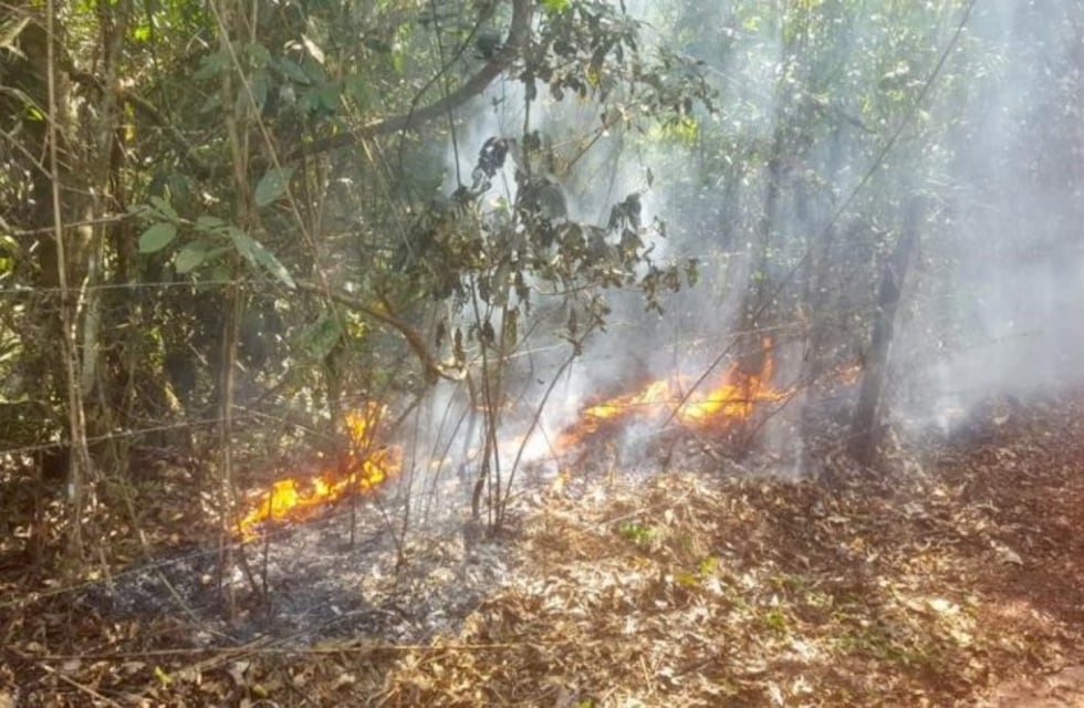 Controlaron el fuego en Iguazú que amenazaba a la aldea Marangatú