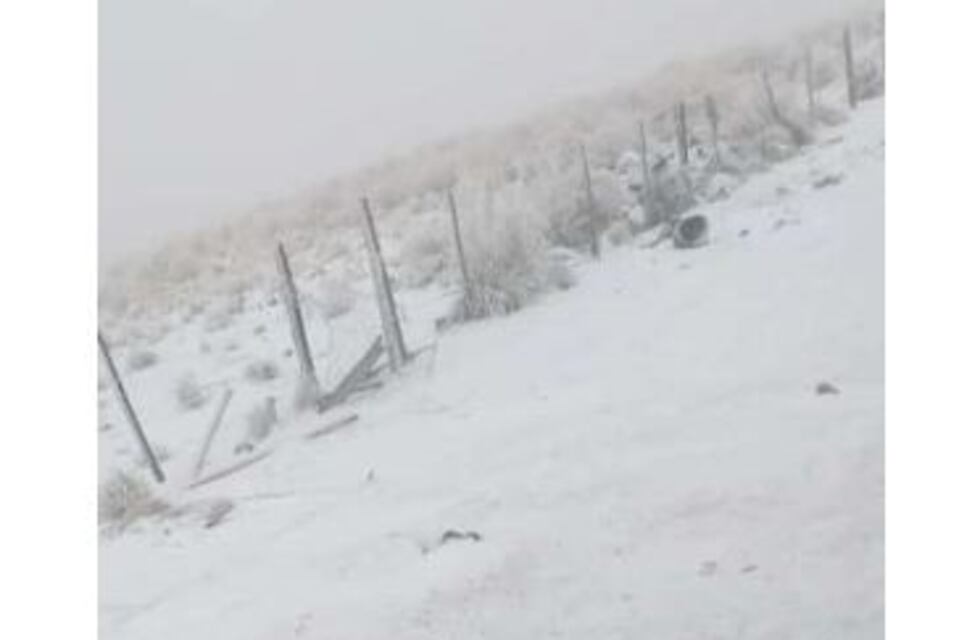 La primera nevada del año sorprendió a los tucumanos en Los Valles