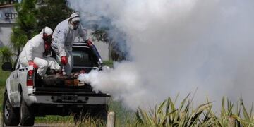 Trabajos de fumigación en varios sectores de la ciudad