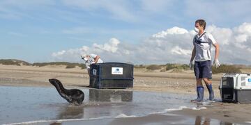 (Foto: Mundo Marino)