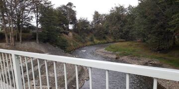 Puente “Paseo de la mujer”\u002E