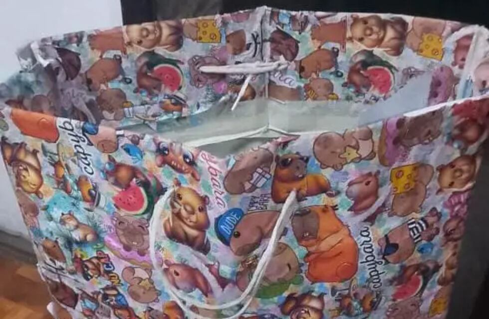 Mujer detenida tras robar prendas de un local en pleno centro de Carlos Paz