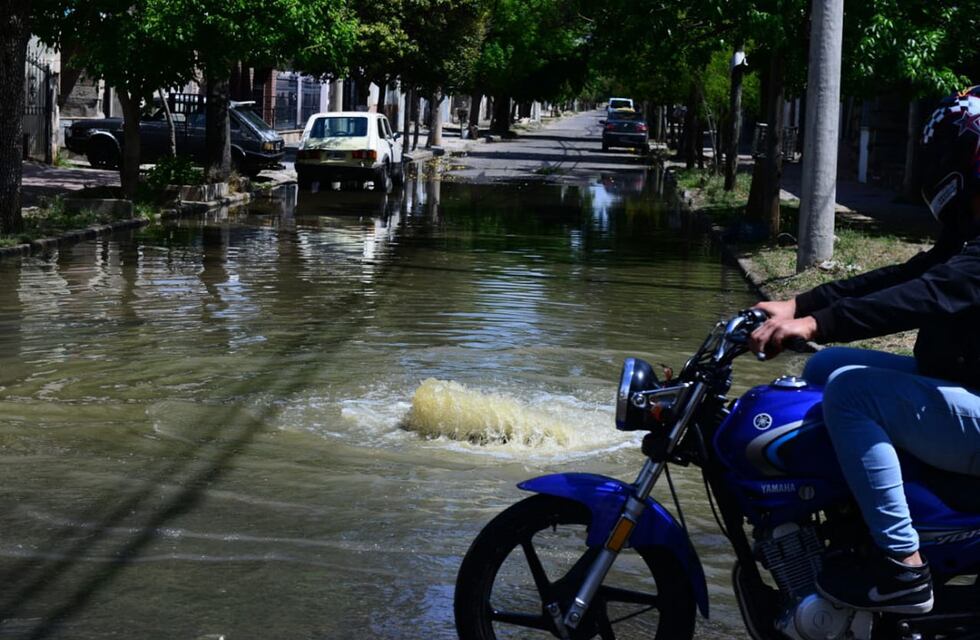 Anunciaron videomultas para quienes contaminen en Córdoba