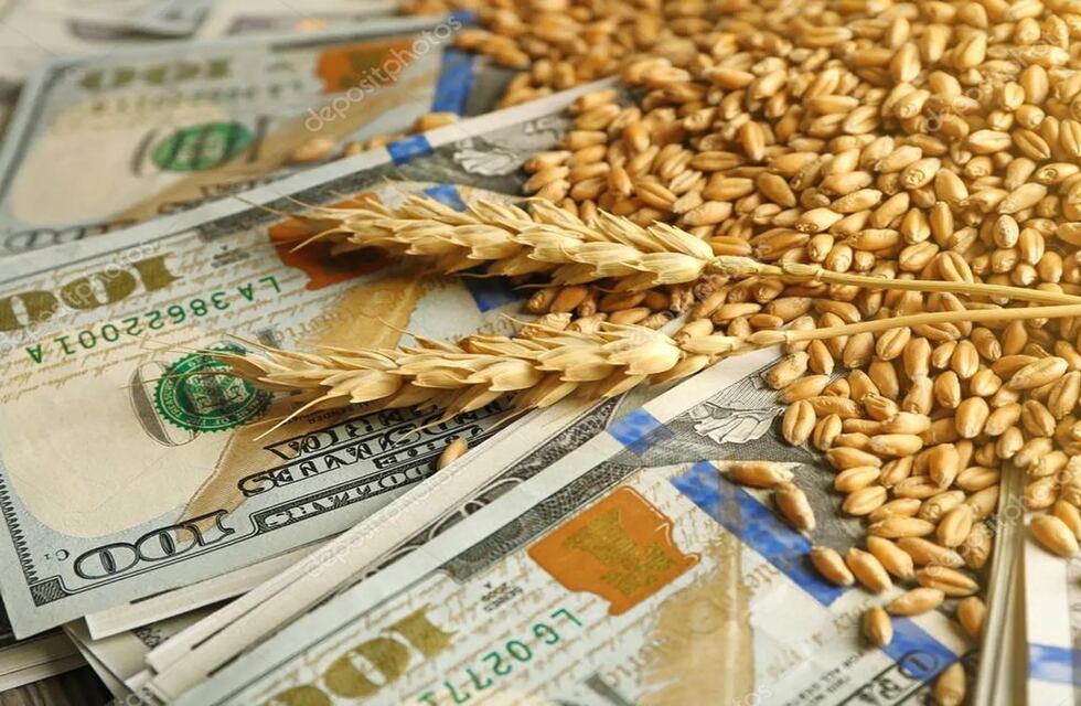 El Gobierno oficializo el Dólar Agro para la soja y muchas economías regionales