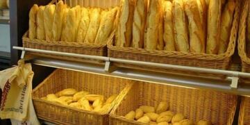 Imagen ilustrativa\u002E