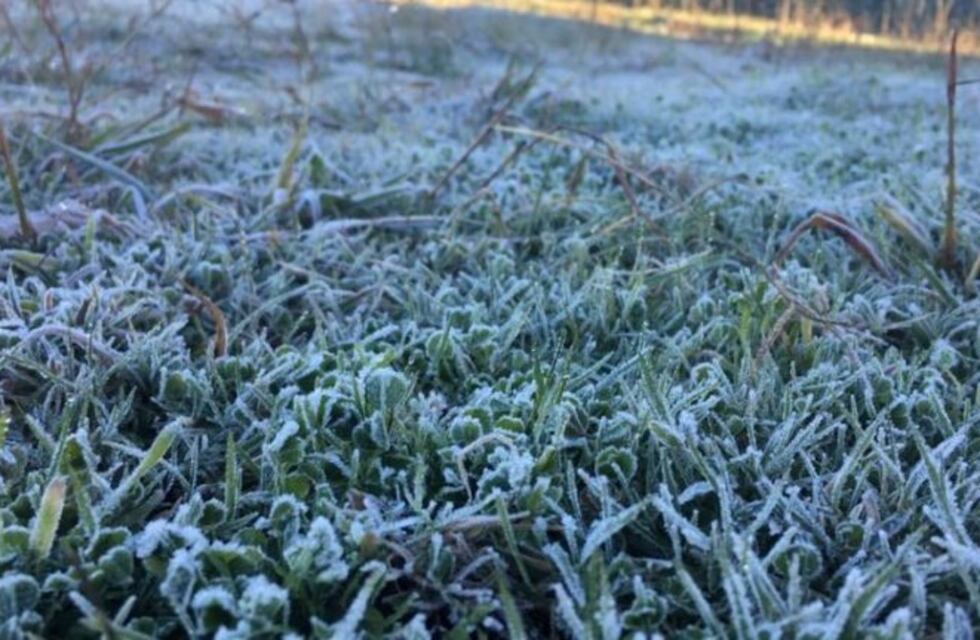 La baja temperatura se hizo sentir en Arroyito y llegó la primer helada