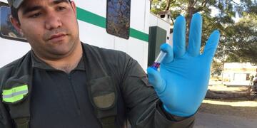 Operativo en Salta donde se detuvo a dos narcos jujeños con mas de 75 kilos de droga