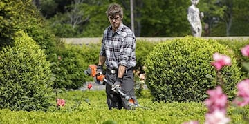 Jardinero Profesional (web)