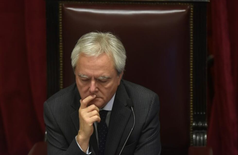 Federico Pinedo confía en que Mauricio Macri será reelegido en 2019
