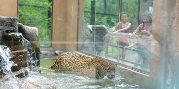 Zoológico de La Plata\u002E