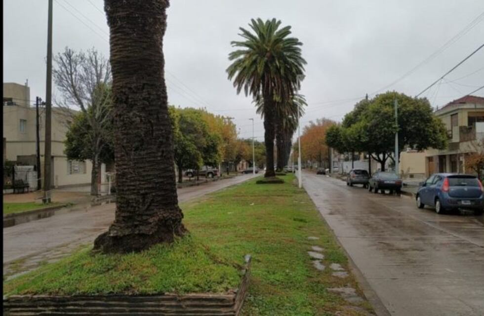 Cómo estará el tiempo este viernes y el fin de semana largo en Marcos Juárez