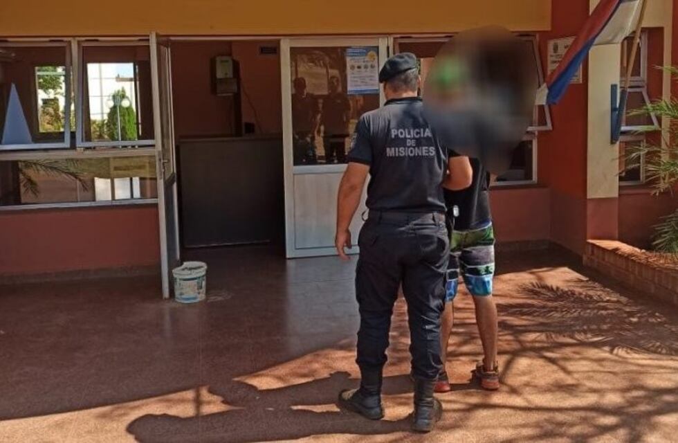 Detuvieron a un joven por el robo de la Escuela N° 105