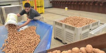 Frutos secos de Río Negro\u002E