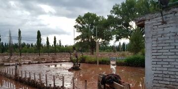 Inundación en Malargüe por la crecida del arroyo La Bebida