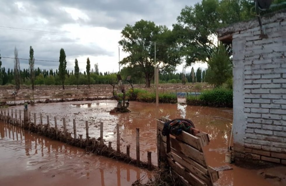 Por la crecida de un arroyo, el agua y lodo inundó casas de familia en Malargüe