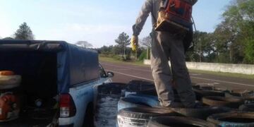 Realizaron tareas de prevención de mosquitos en Oberá