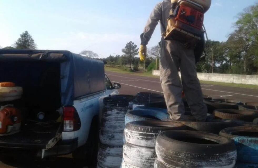 Realizaron tareas de prevención de mosquitos en Oberá
