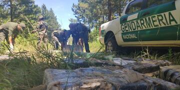 Gendarmería incautó drogas, vehículos y armas de fuego en el norte de Misiones\u002E