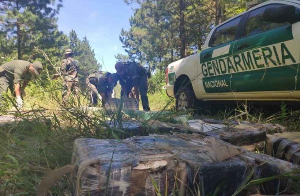 Gendarmería incautó drogas, vehículos y armas en el norte de Misiones