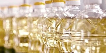 Aceite de girasol\u002E (Web)