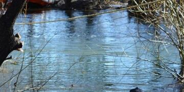 Los bomberos trabajaron rodeados de mapuches\u002E