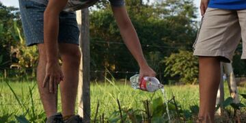 Córdoba celebrará la Semana del Ambiente