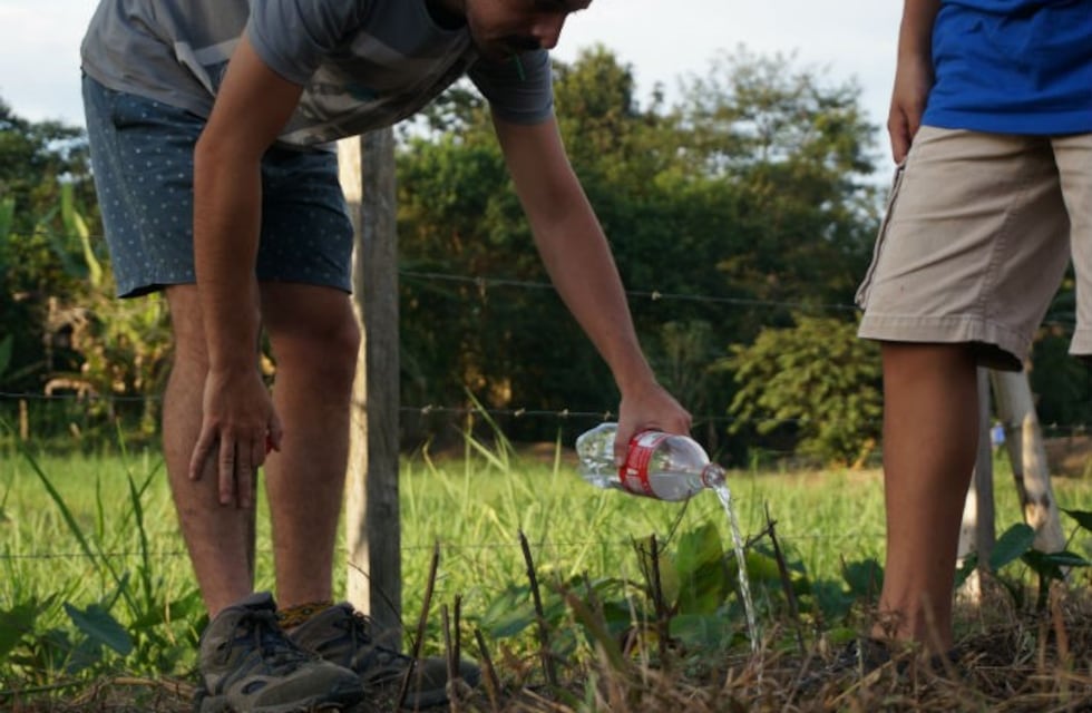Córdoba celebrará la Semana del Ambiente