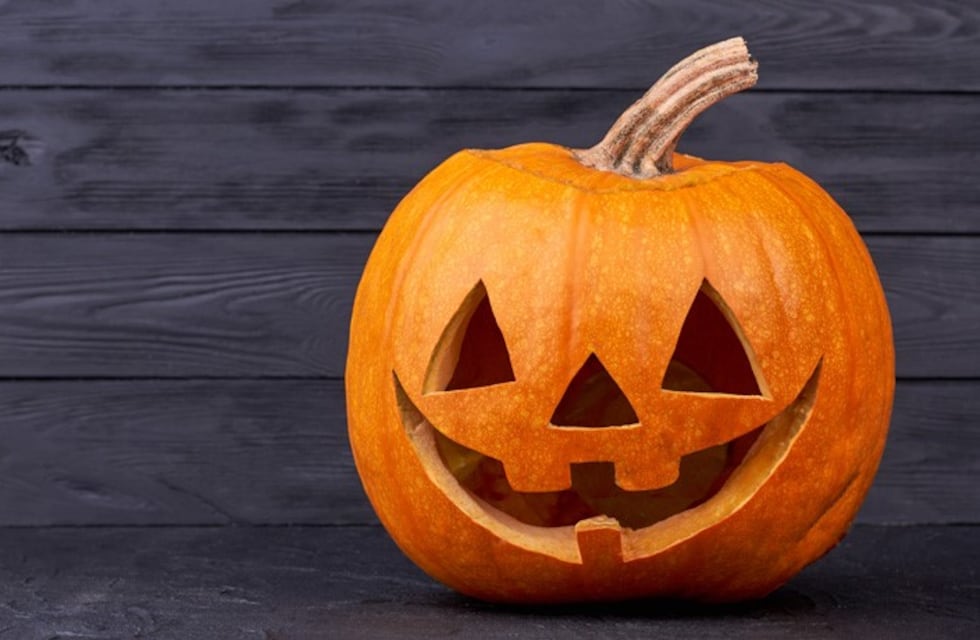 Reto viral: ¿podés encontrar la calabaza sin nariz?