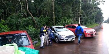 Los guías de turismo celebran su día limpiando el Parque Iguazú\u002E (La Voz)