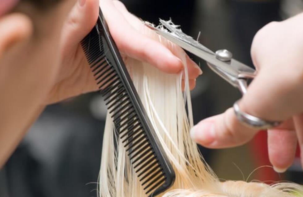 La diferencia entre "recortar las puntas" y el "saneamiento"