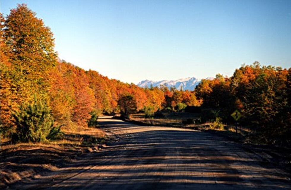 Lanzan un concurso nacional de fotografía