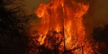 Impresionantes imágenes de los incendios en Córdoba (Foto: Ariel Luna)